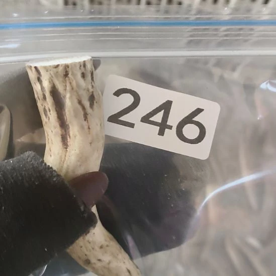 麦***师鹿角鹿角鹿角鹿角鹿角鹿角