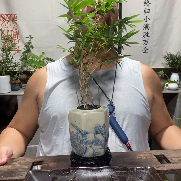 ?***?退款拉黑一物一拍174