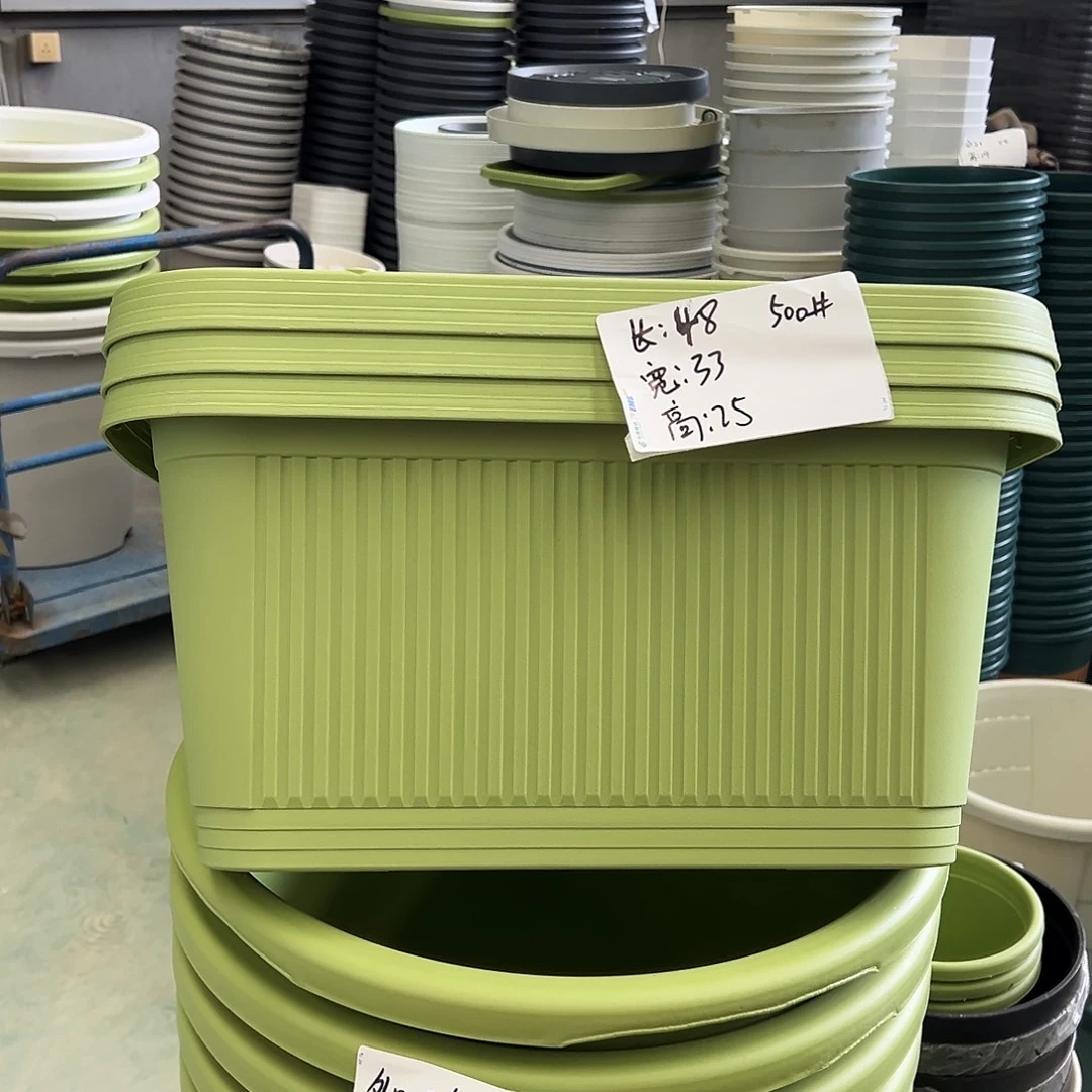 菜盆500#果绿3个无托