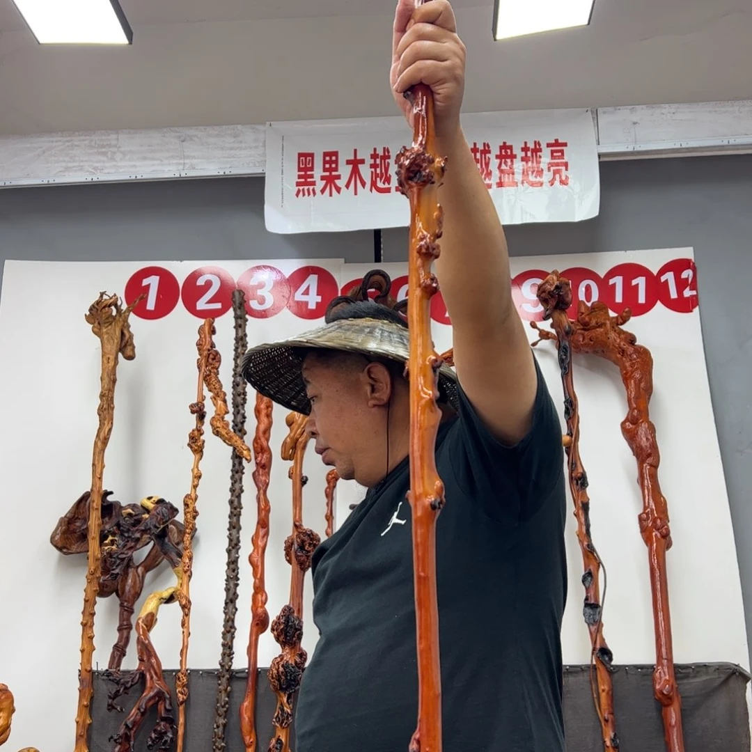 用***6黑果木其他黑果木102