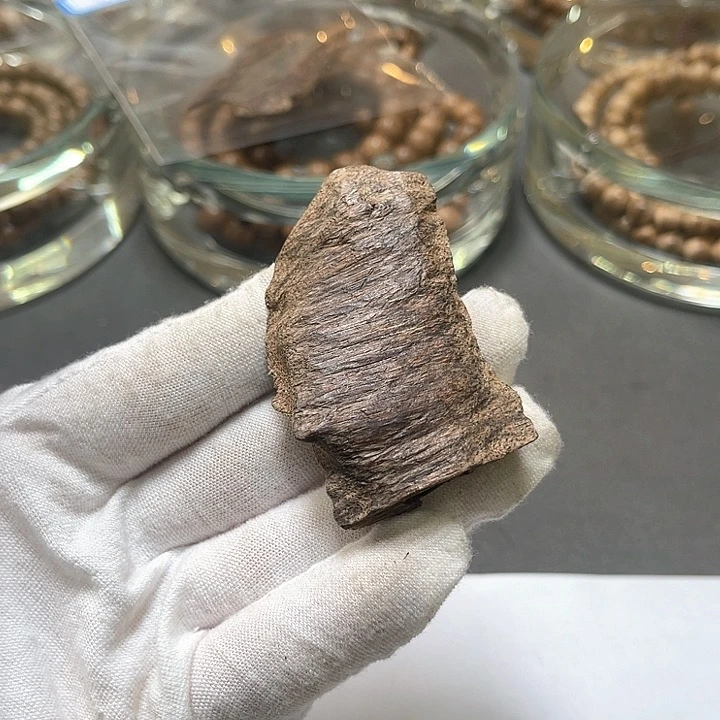 小叶紫檀其他芽4.2克