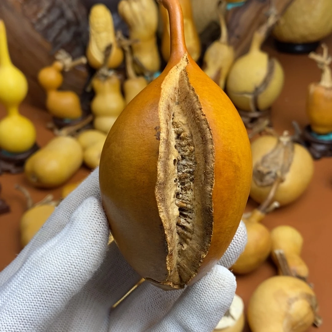 牧***人教练咯教练咯教练咯