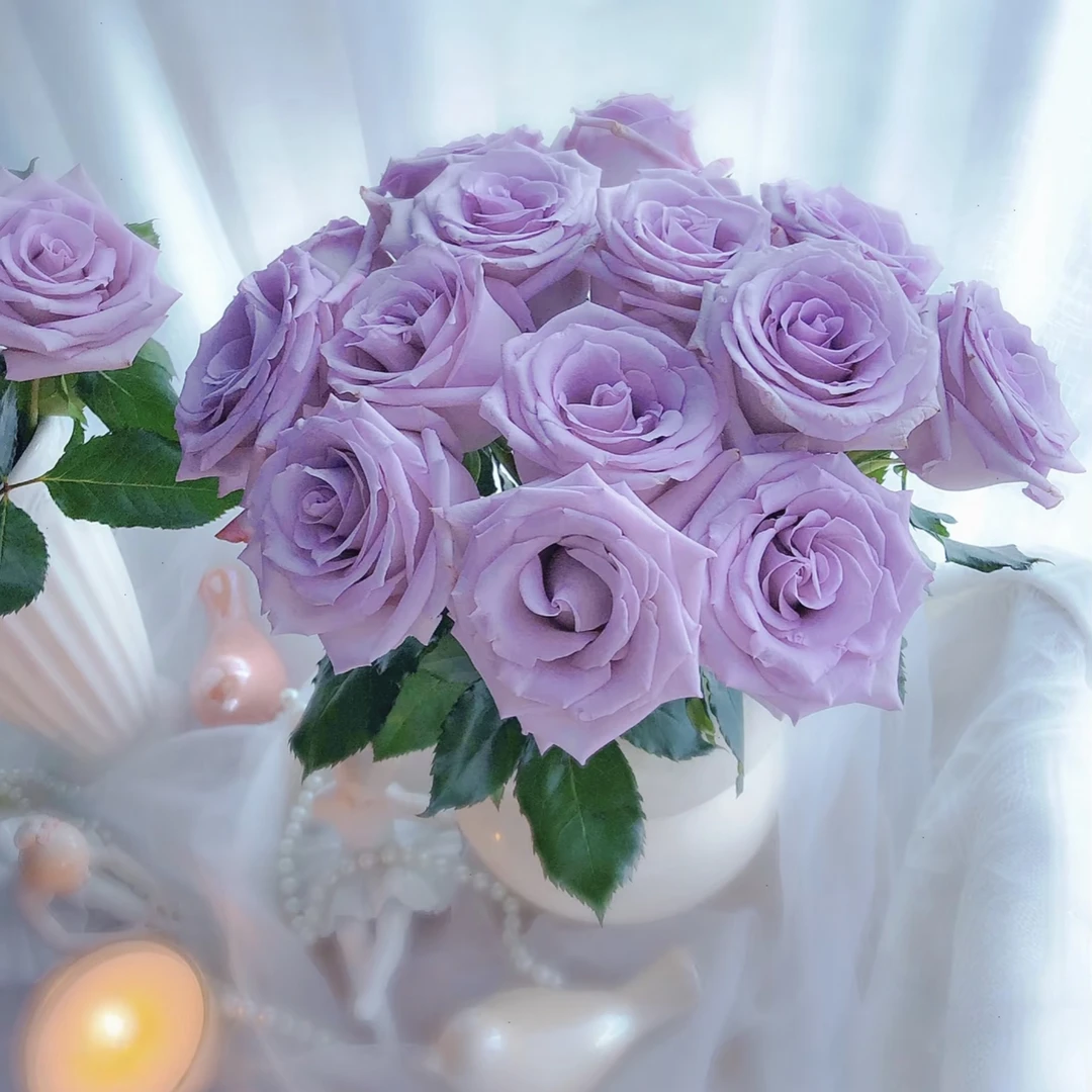 海洋之歌玫瑰（小花型）—蓝色海 【紫色浪漫贩卖中】