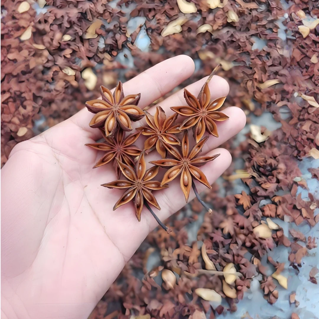 广西正宗大红无硫秋八角