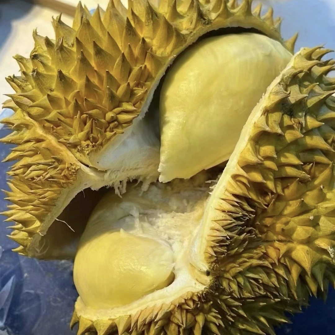 金枕榴莲（1斤）29.9元新鲜核小榴莲同城配金枕泰国