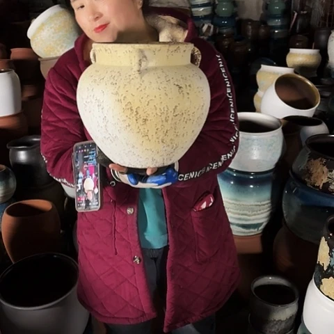 口21高27瑕疵盆子