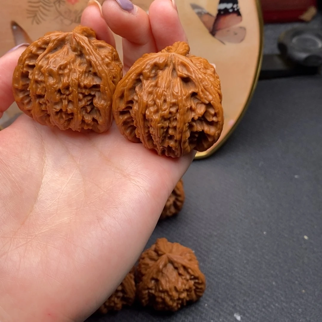 y**g白狮子11111111111