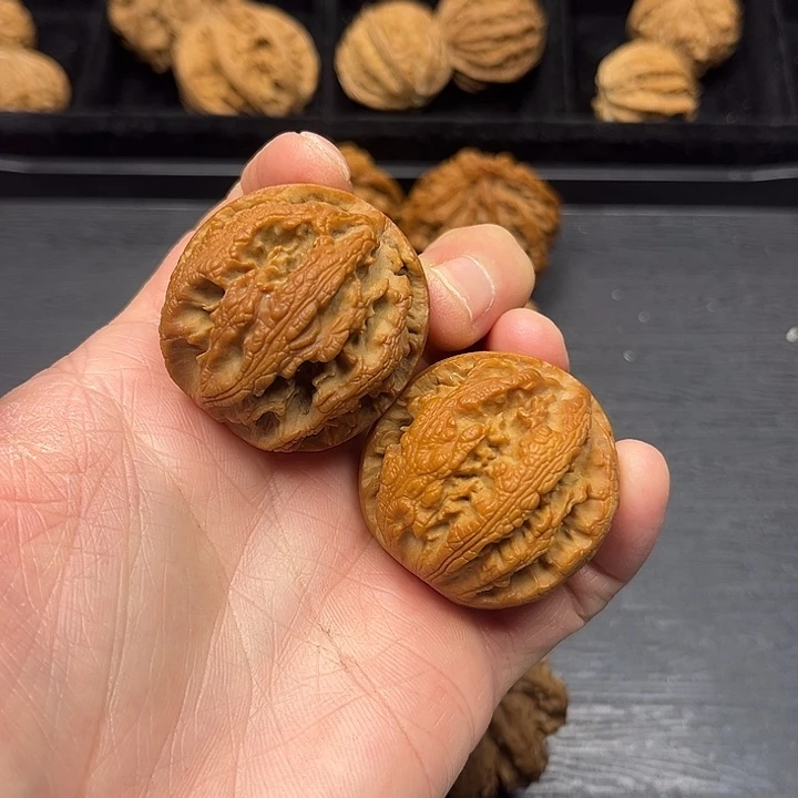 核桃突突突突突突突突