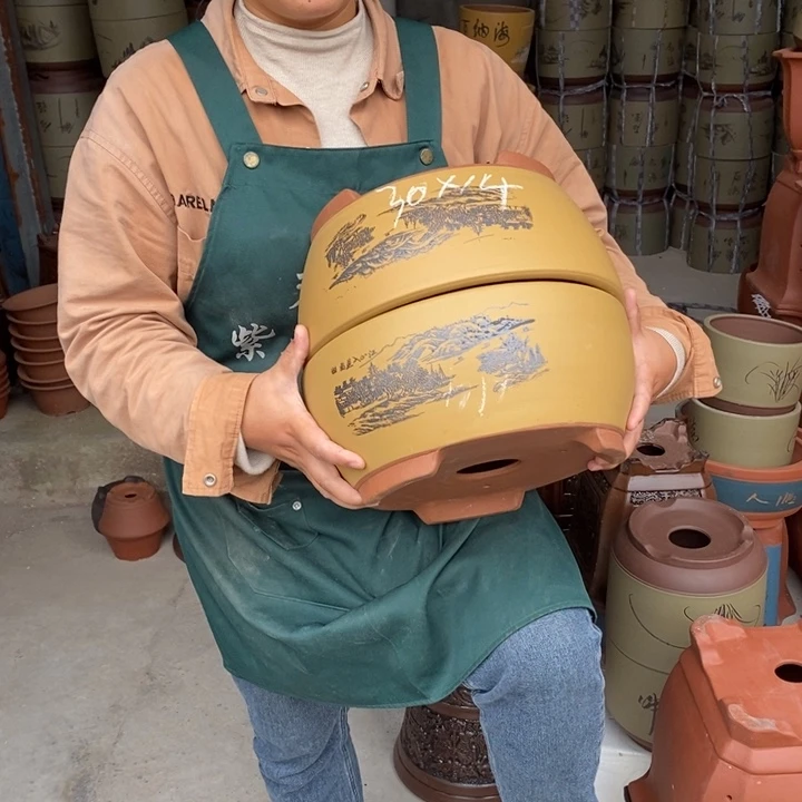 紫砂花盆盆栽花卉苗木种植