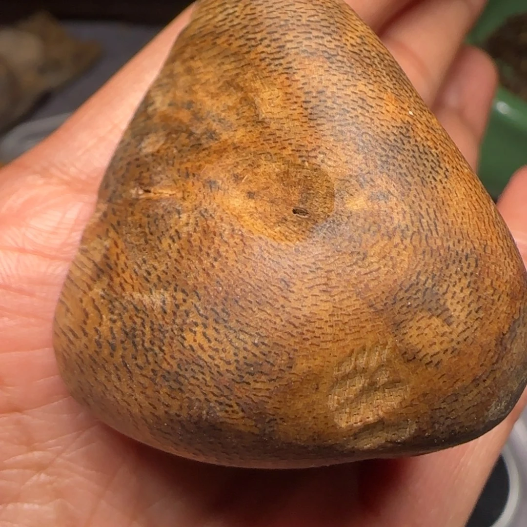 树脂制品晓*白旗包头