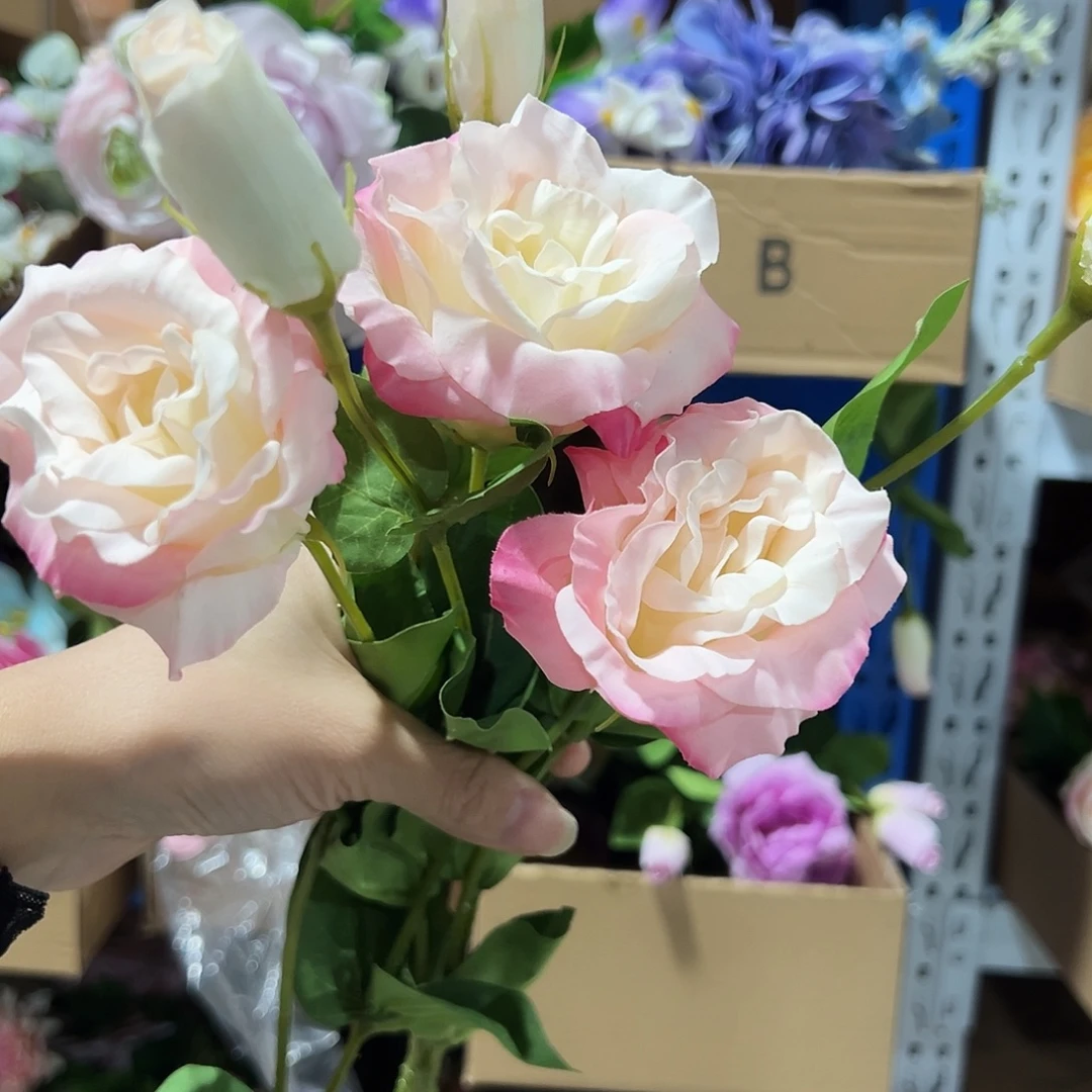 琴***琴3枝粉色桔梗花。