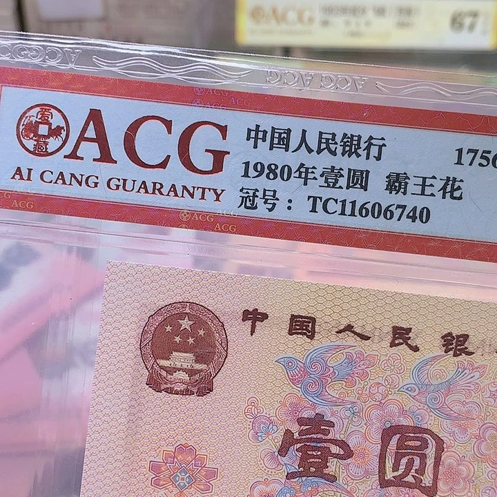 雪**鹰一张一张一张一张66466401一张