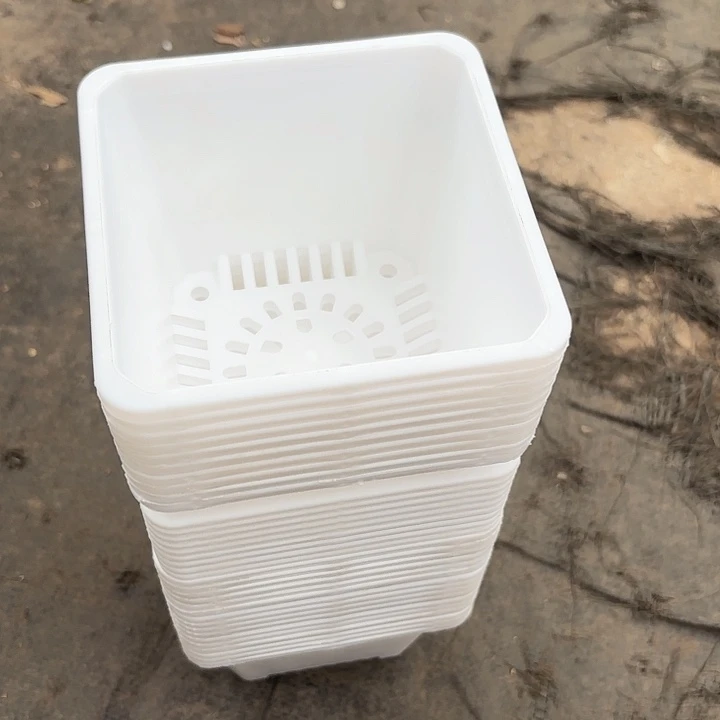 120白方盆11公分高8公分30个