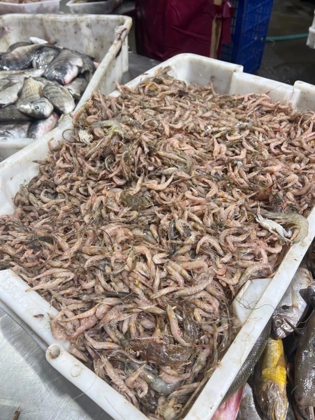 连云港冷冻发货海杂虾10斤