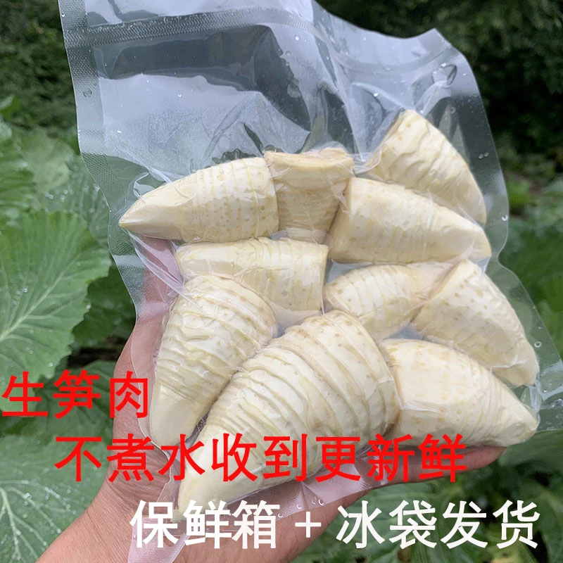 新鲜纯冬笋肉下单现剥临安天目山去壳竹笋