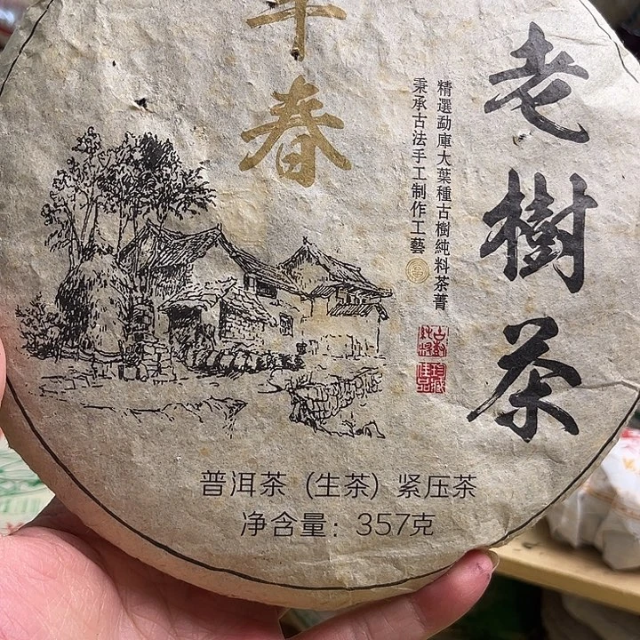 2016年早春老树生茶