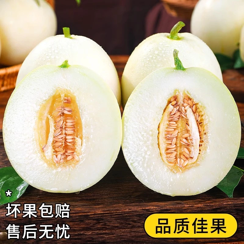 陕西阎良甜瓜小蜜蜂甜瓜非玉菇甜瓜羊角蜜甜瓜小香瓜