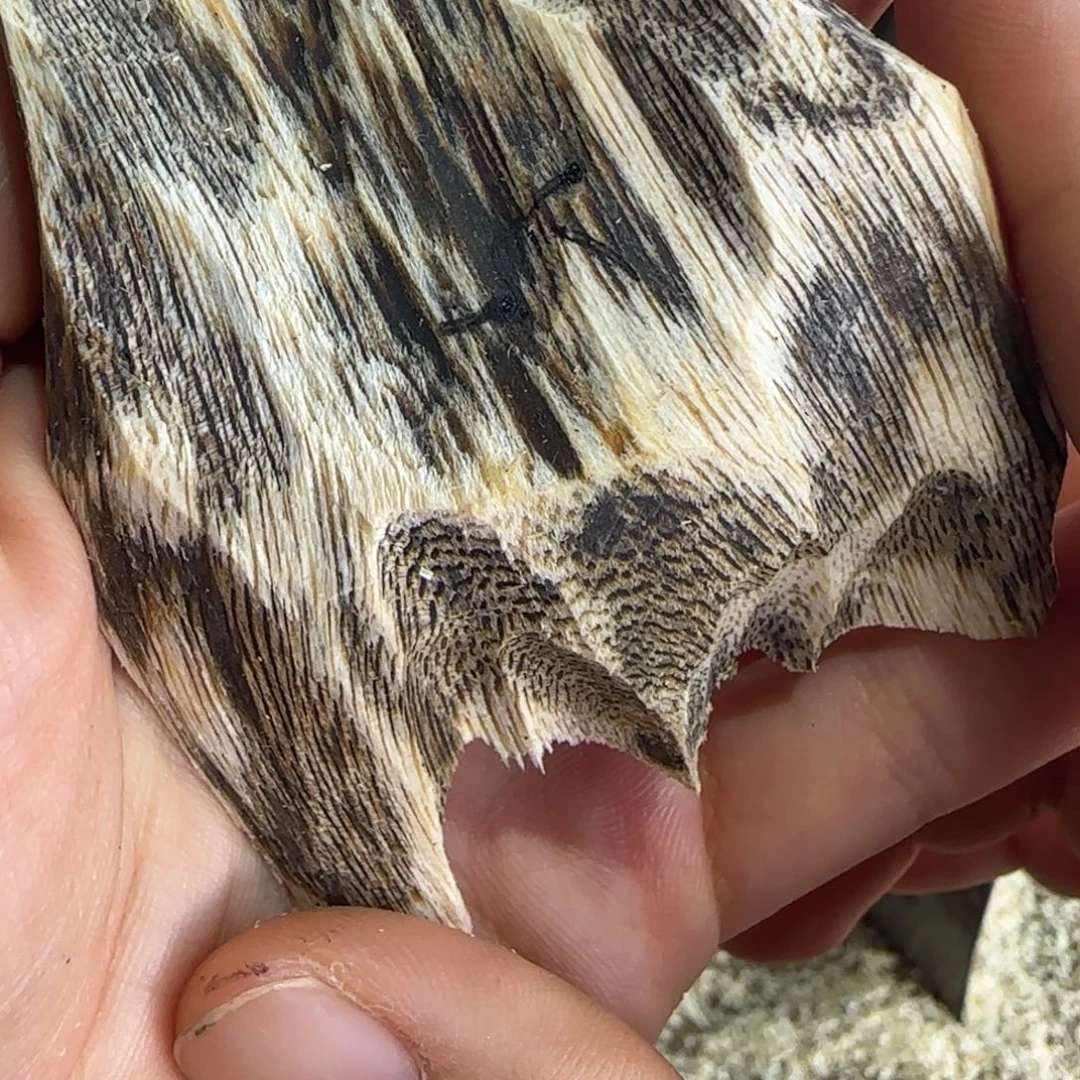 沉香沉香碎屑5号奇楠沉香原木一个