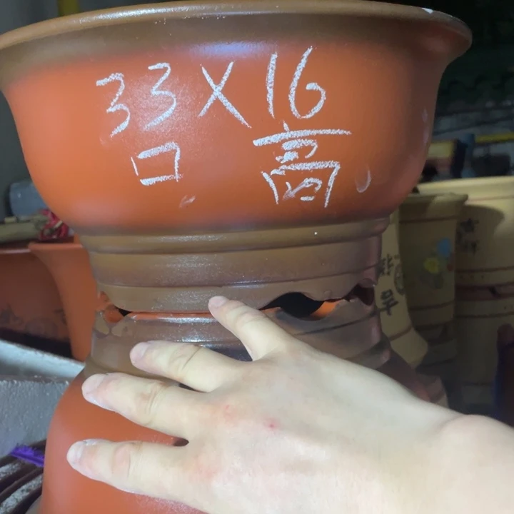 紫砂紫砂紫砂紫砂紫砂