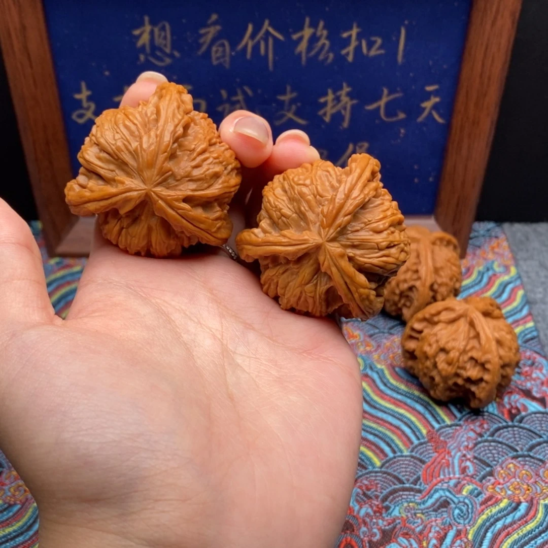 【闪购商品】赤*白狮