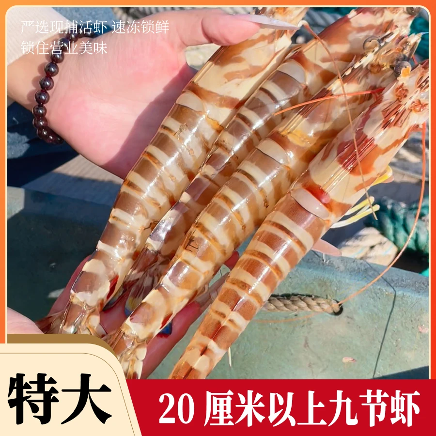 【特大九节虾】2盒 3-5条/350g盒 约20厘米 活冻竹节虾花虾 | 好