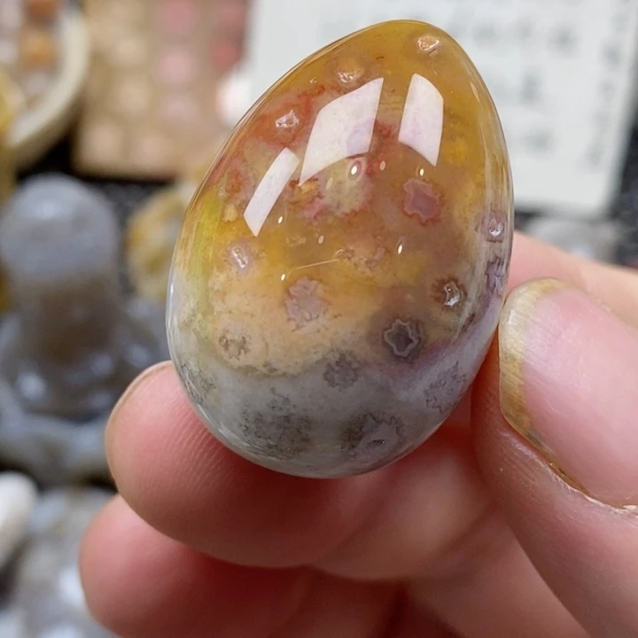 颈饰未镶嵌硅化珊瑚（珊瑚玉）