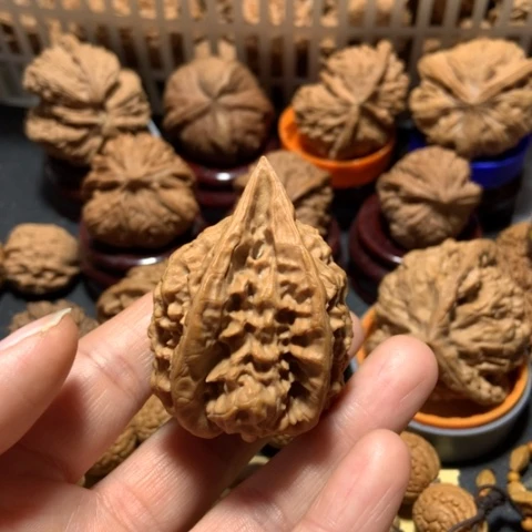 核桃忠**渝官帽生命一个