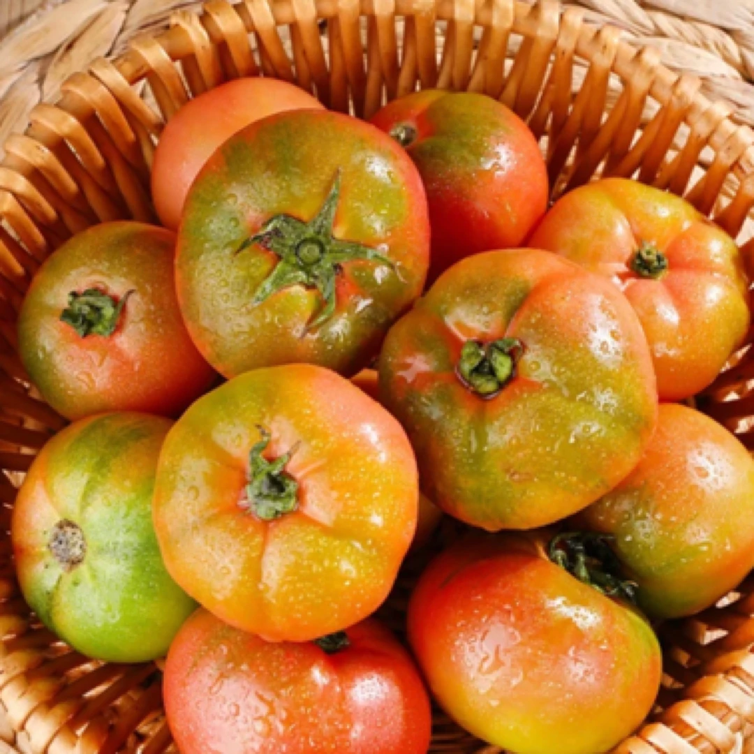 邳州本地新鲜采摘 草莓西红柿 生吃顺丰发货