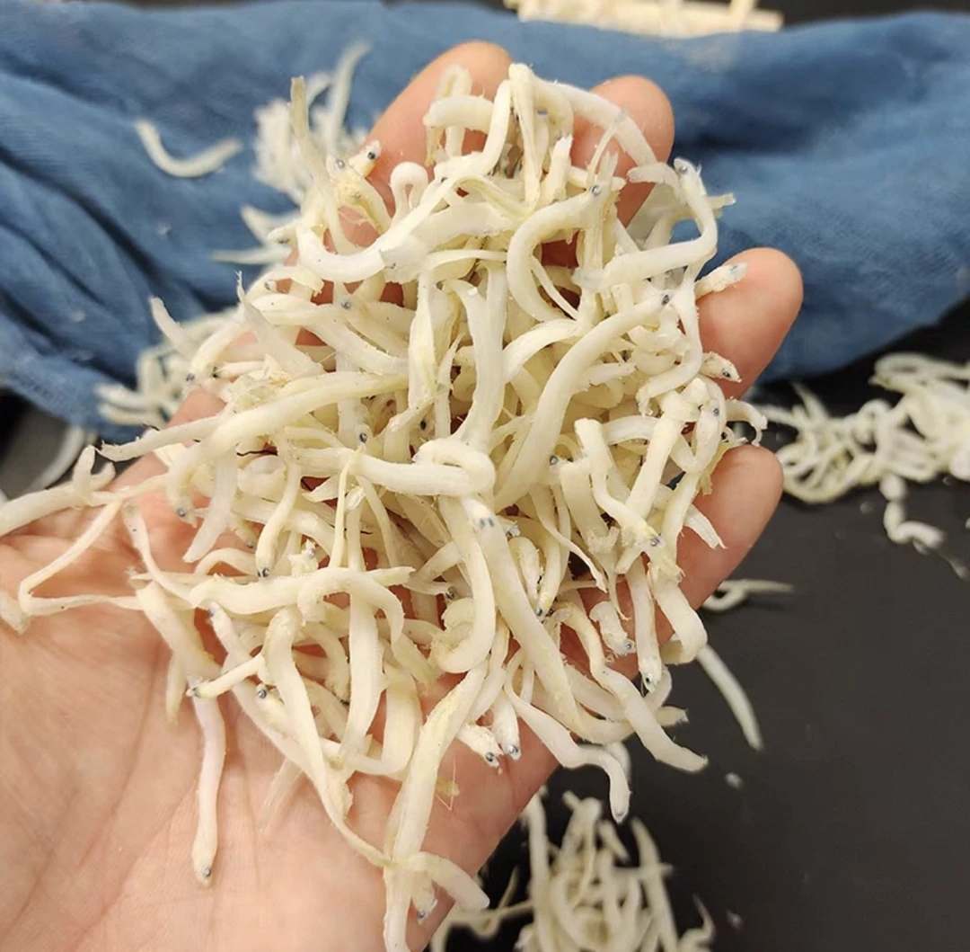 威海特产烘干深海野生小银鱼
