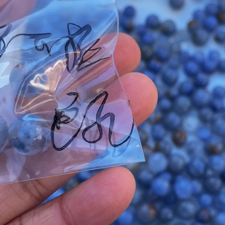 水晶单株未镶嵌耶***?天然水晶单珠