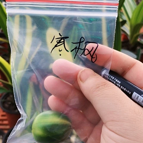【闪购商品】寒*直播间