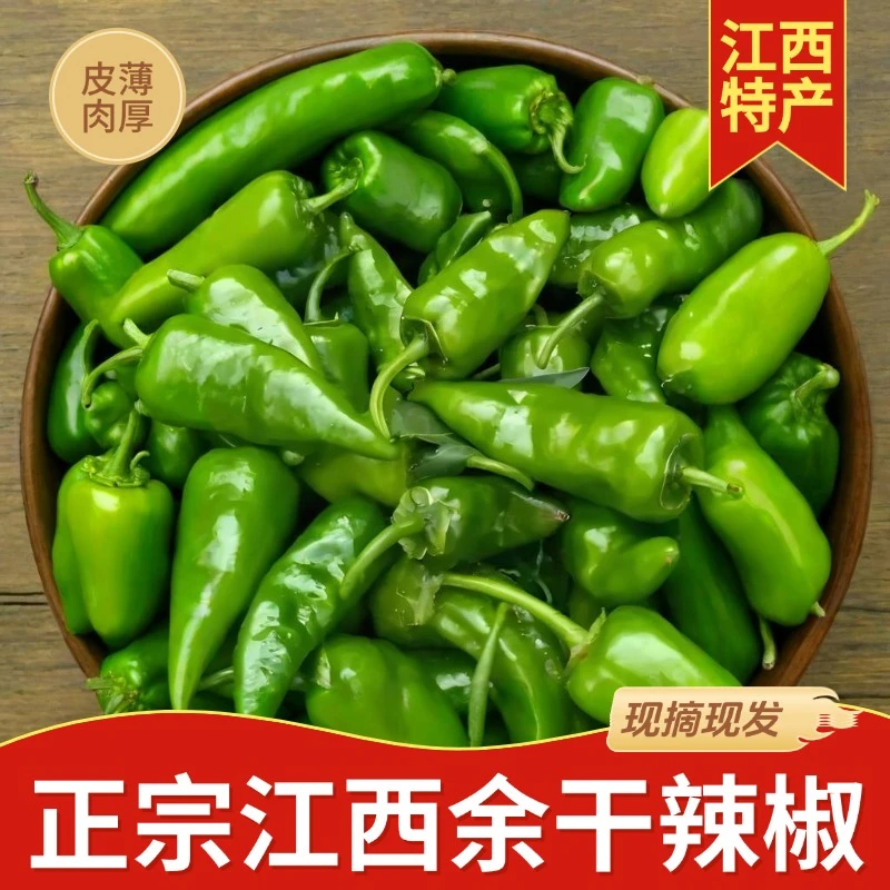 【3斤】 正宗余干辣椒新鲜江西小辣椒鄱阳产地农家土辣椒薄皮青椒