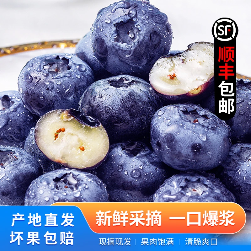 正宗丹东头茬花香蓝莓个大脆甜产地现摘 顺丰直发 买一斤送半斤