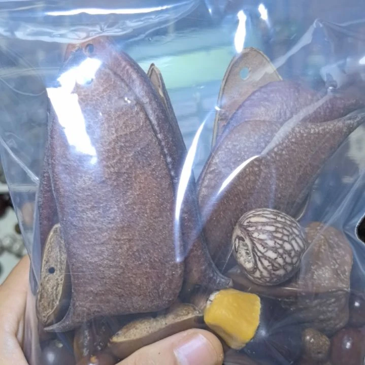 菩提根/象牙果吊坠软*