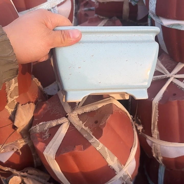 是因为她太喜欢了所以还是觉得不应该这么