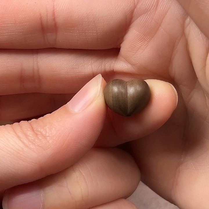 散珠檀香木阴沉横纹屁桃