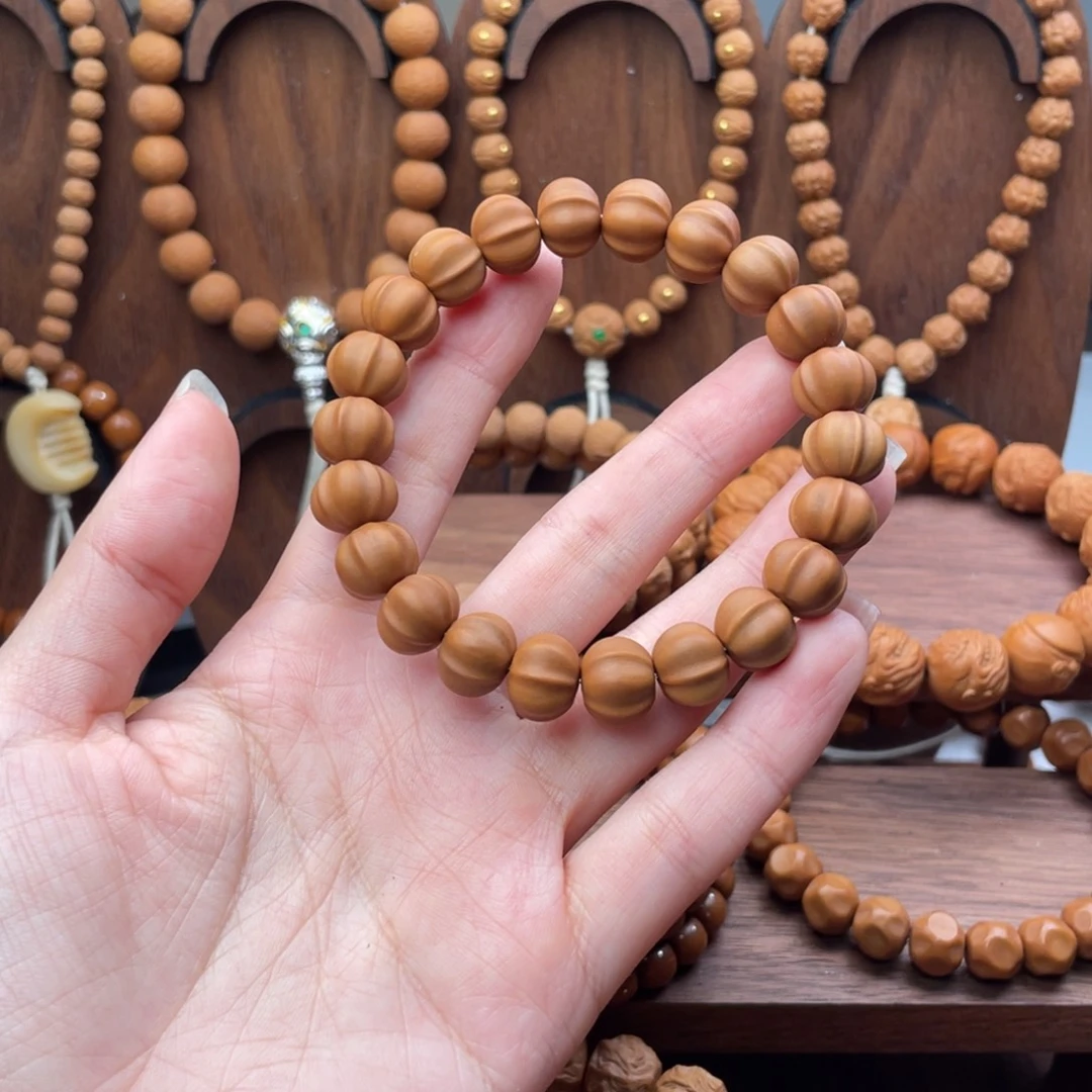 体验款小鲨鱼10.11左右