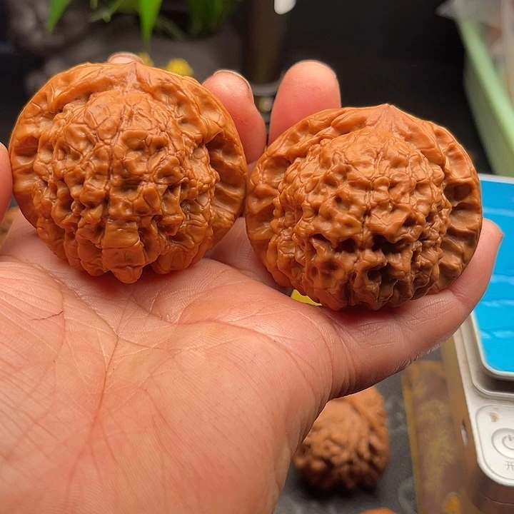 把件桃核全品龙鼎边53