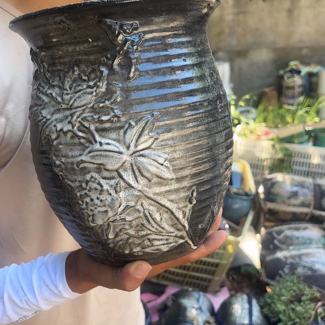 黑蝶恋花口径20*24一个