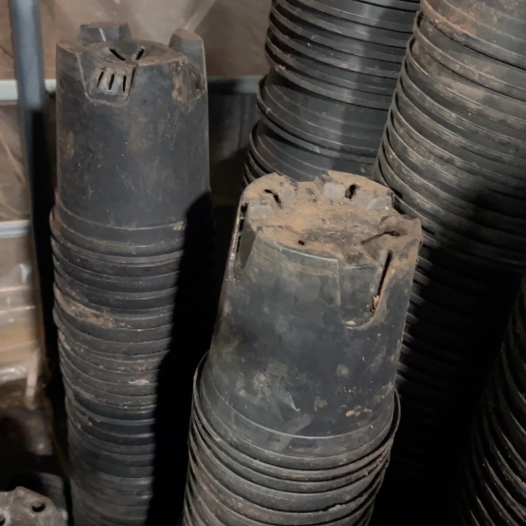 黑1加仑盆16口径17高 12个