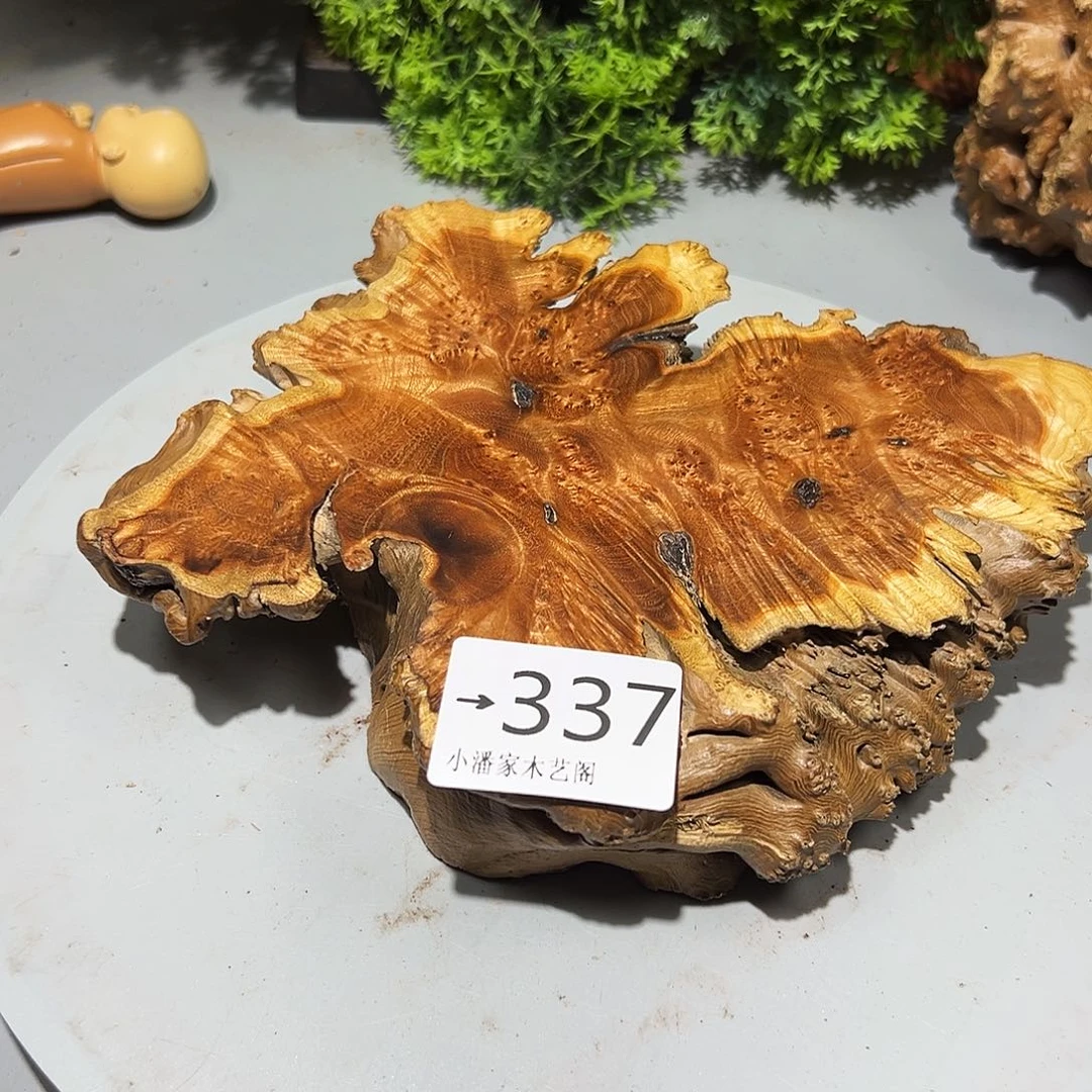 青***稞香榧木火琉璃……火琉璃