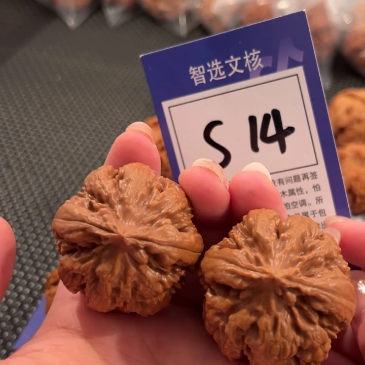 吊坠文玩核桃S14号霸王龙40尺