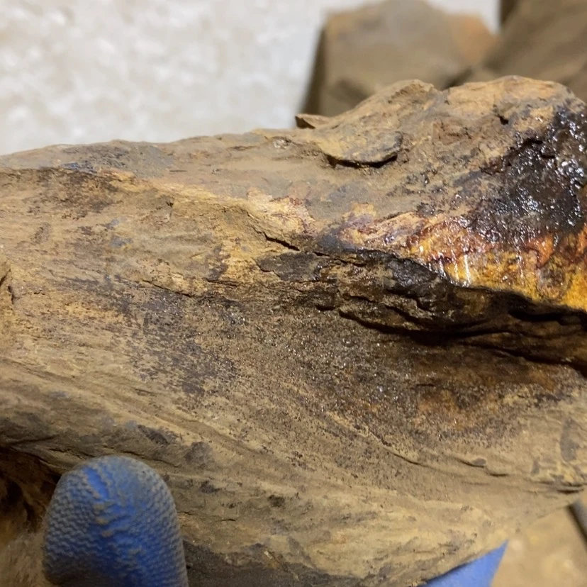 【闪购商品】贡木其他合**祥定制12355668990