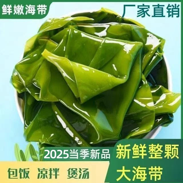【2025新菜】 少盐 头茬鲜嫩盐渍整颗海带 带箱5斤  N