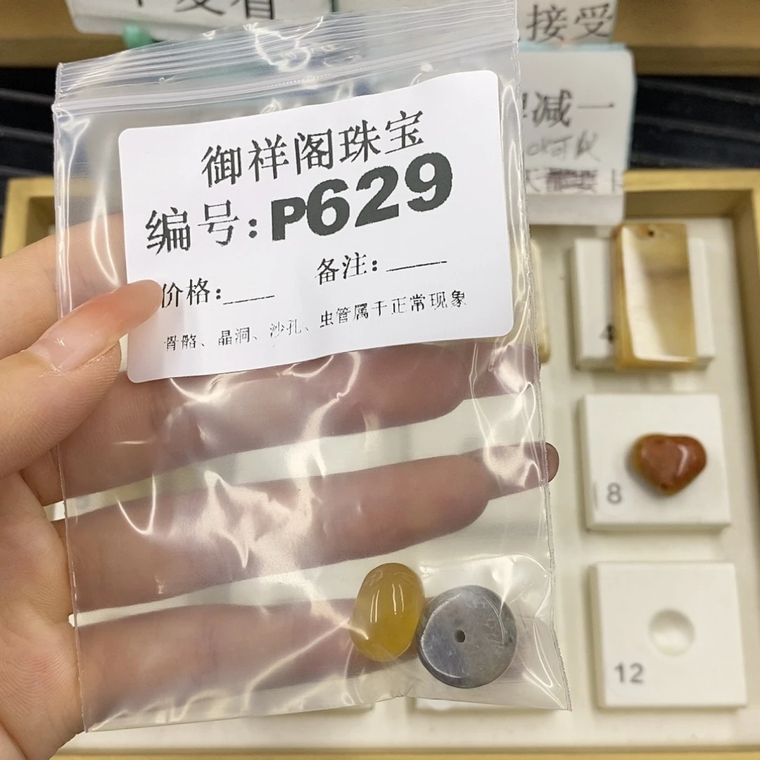 硅化珊瑚（珊瑚玉）未镶嵌颈饰小*