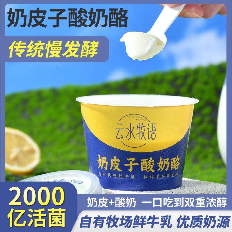 云水牧语奶皮子酸奶酸奶酪0防腐0色素0香精网红零食 顺丰冷链发