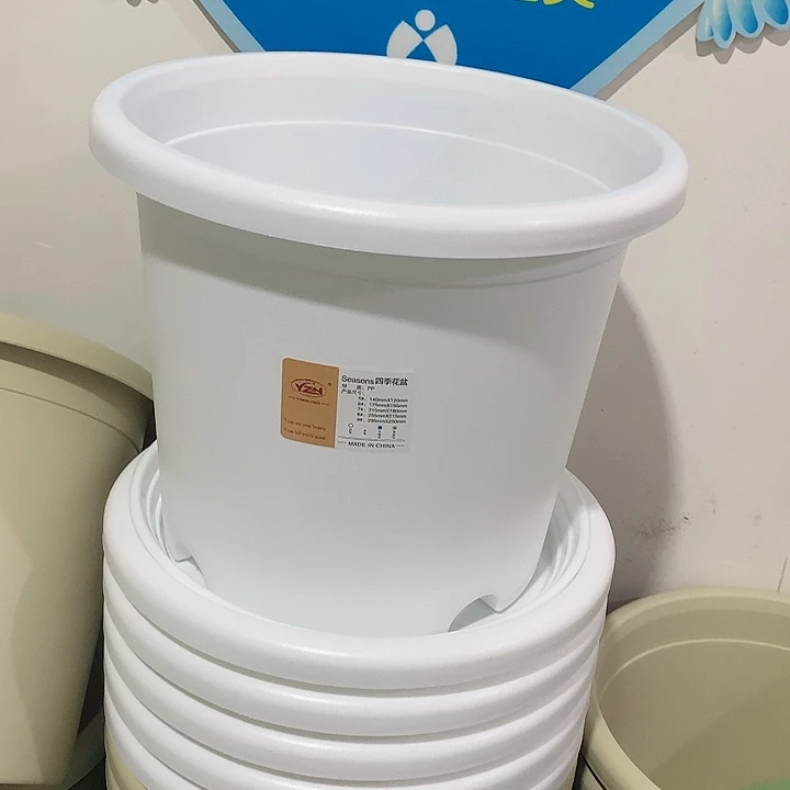 四季口29白5个无托