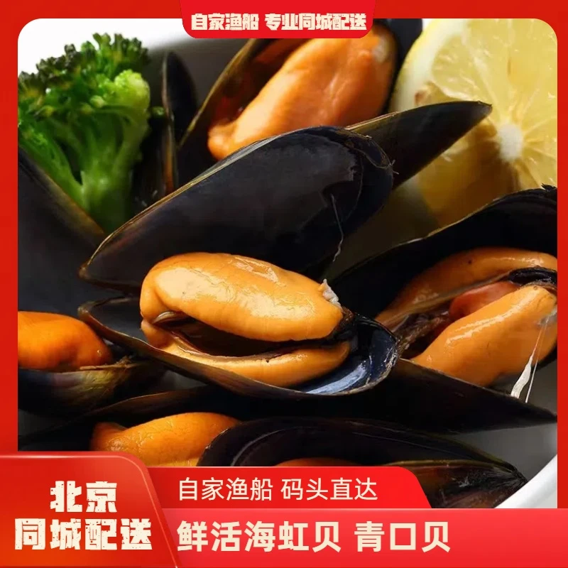【自家渔船】鲜活海虹贝 海葡萄 称作海中鸡蛋的海虹贝 肥美多汁 鲜嫩可口