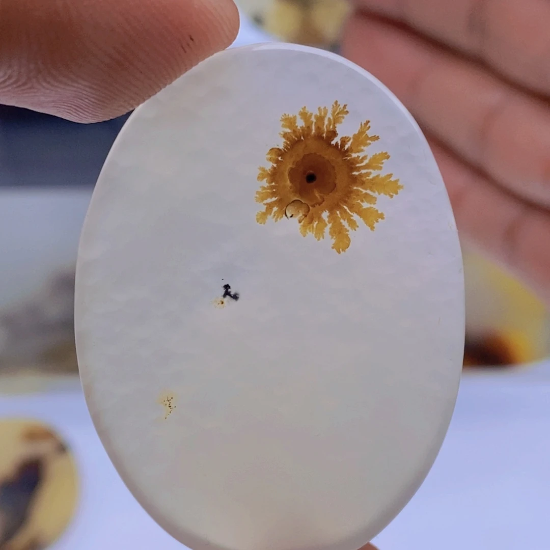 玛瑙/玉髓颈饰未镶嵌湖****?