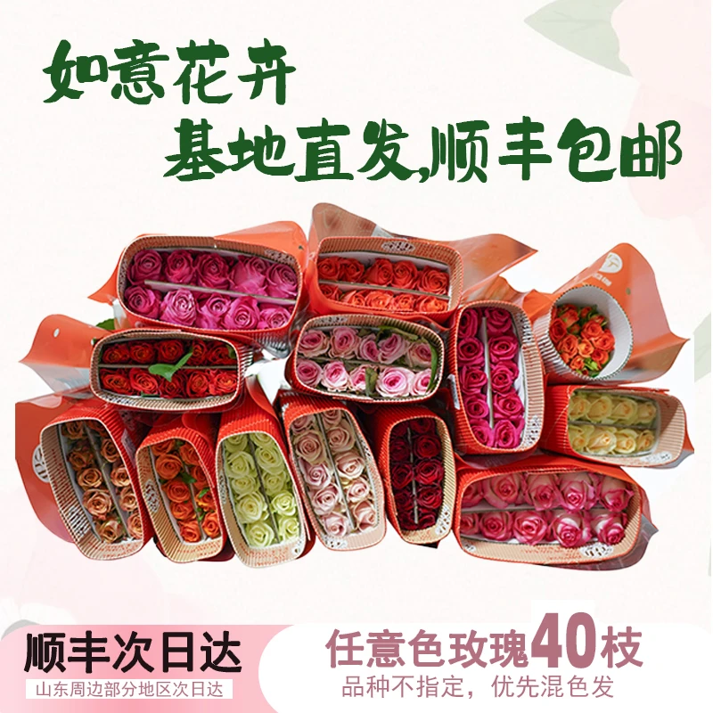 【如意花卉】玫瑰小盒40枝山东基地直发顺丰包邮插花礼物50-55cm